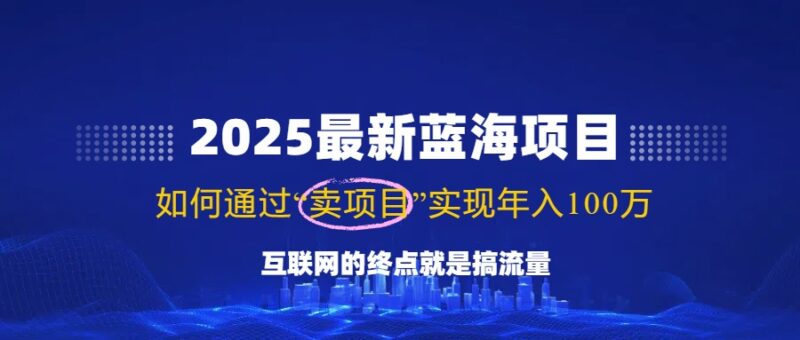2025最新蓝海项目,零门槛轻松复制,月入10万+,新手也能操作!-创客网