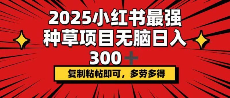 2025小红书最强种草项目，无脑日入300+，复制粘帖即可，多劳多得-创客网