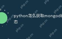python怎么获取mongodb状态-创客网