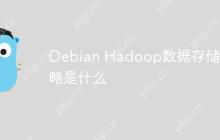 Debian Hadoop数据存储策略是什么-创客网