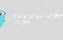 Debian上Tigervnc的更新和维护策略-创客网