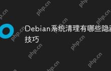 Debian系统清理有哪些隐藏技巧-创客网
