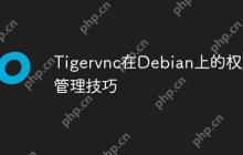 Tigervnc在Debian上的权限管理技巧-创客网