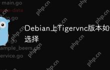 Debian上Tigervnc版本如何选择-创客网