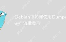 Debian下如何使用Dumpcap进行流量整形-创客网