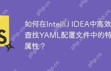 如何在IntelliJ IDEA中高效查找YAML配置文件中的特定属性？-创客网