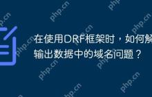 在使用DRF框架时，如何解决输出数据中的域名问题？-创客网