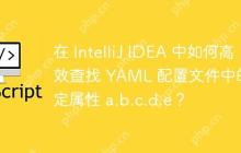 在 IntelliJ IDEA 中如何高效查找 YAML 配置文件中的特定属性 a.b.c.d.e？-创客网