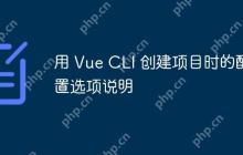 用 Vue CLI 创建项目时的配置选项说明-创客网