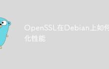 OpenSSL在Debian上如何优化性能-创客网
