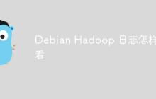 Debian Hadoop 日志怎样查看-创客网