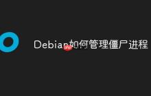 Debian如何管理僵尸进程-创客网