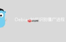 Debian如何识别僵尸进程-创客网