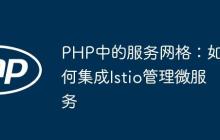 PHP中的服务网格：如何集成Istio管理微服务-创客网