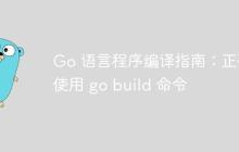 Go 语言程序编译指南：正确使用 go build 命令-创客网