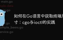 如何在Go语言中获取终端尺寸：cgo与ioctl的实践-创客网