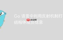 Go 语言中利用反射机制打印结构体成员信息-创客网