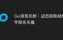 Go语言反射：动态获取结构体字段名与值-创客网