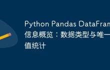 Python Pandas DataFrame列信息概览：数据类型与唯一值统计-创客网