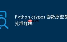 Python ctypes 函数原型参数处理详解-创客网