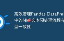 高效管理Pandas DataFrame中的NLP文本预处理流程与类型一致性-创客网