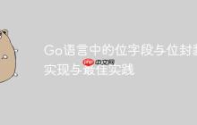 Go语言中的位字段与位封装：实现与最佳实践-创客网