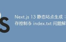 Next.js 13 静态站点生成：缓存控制与 index.txt 问题解决-创客网