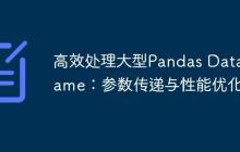 高效处理大型Pandas DataFrame：参数传递与性能优化-创客网