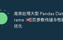 高效处理大型 Pandas DataFrame：函数参数传递与性能优化-创客网