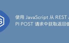 使用 JavaScript 从 REST API POST 请求中获取返回值-创客网