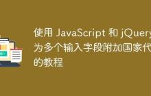 使用 JavaScript 和 jQuery 为多个输入字段附加国家代码的教程-创客网