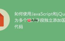 如何使用JavaScript和jQuery为多个输入字段独立添加国家代码-创客网