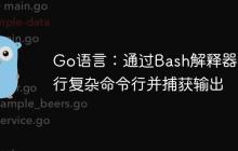 Go语言：通过Bash解释器执行复杂命令行并捕获输出-创客网