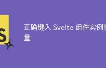 正确键入 Svelte 组件实例变量-创客网