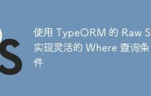 使用 TypeORM 的 Raw SQL 实现灵活的 Where 查询条件-创客网