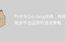 PHP与Go-lang抉择:构建高效多平台应用的语言策略-创客网