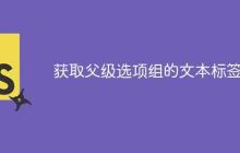 获取父级选项组的文本标签-创客网