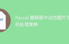 Parcel 捆绑器中动态图片引用的处理策略-创客网