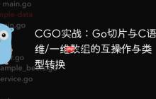 CGO实战:Go切片与C语言多维/一维数组的互操作与类型转换-创客网