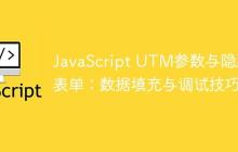 JavaScript UTM参数与隐藏表单：数据填充与调试技巧-创客网