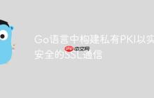 Go语言中构建私有PKI以实现安全的SSL通信-创客网