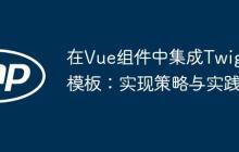 在Vue组件中集成Twig模板：实现策略与实践-创客网