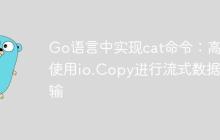 Go语言中实现cat命令:高效使用io.Copy进行流式数据传输-创客网