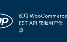 使用 WooCommerce REST API 获取用户信息-创客网