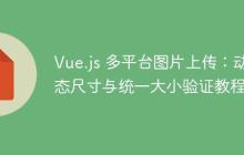 Vue.js 多平台图片上传:动态尺寸与统一大小验证教程-创客网