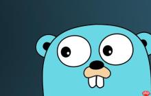 Golang如何使用reflect调用函数-创客网