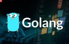 Golang json数据序列化与反序列化实践-创客网