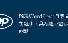 解决WordPress自定义主题小工具标题不显示问题-创客网
