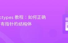 Python ctypes 教程:如何正确深拷贝含有指针的结构体-创客网