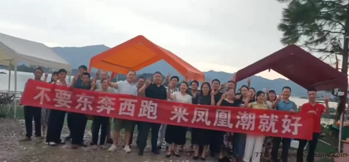 凤凰潮零撸项目深度解析：轻松参与，多种玩法助你月入数十万-创客网